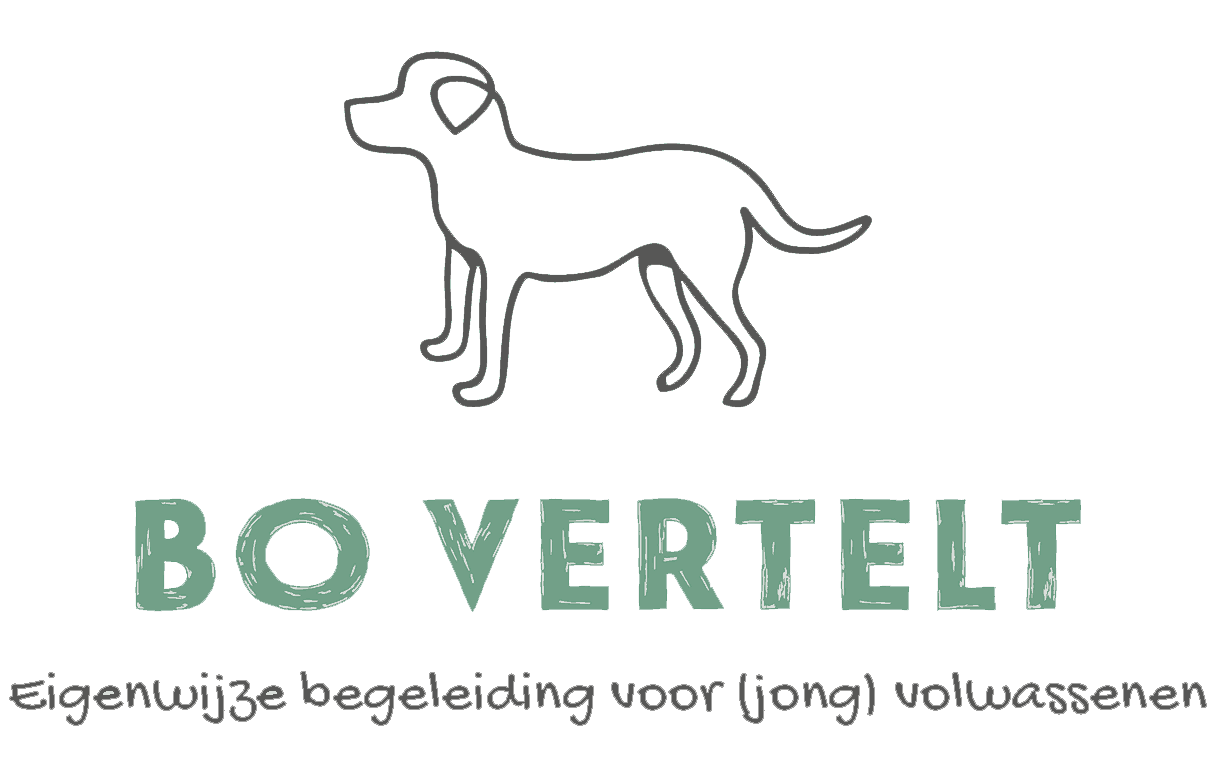 BoVertelt_Logo_transparant