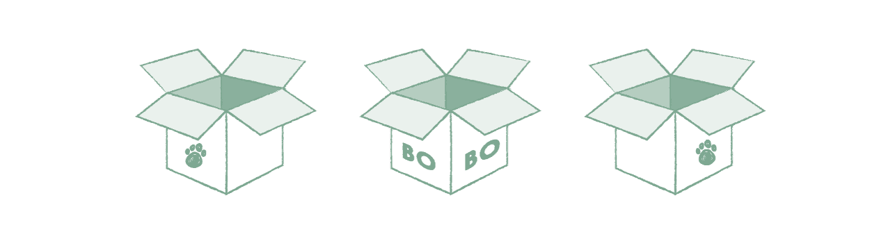 Bo-Box_illustratie_website_DEF