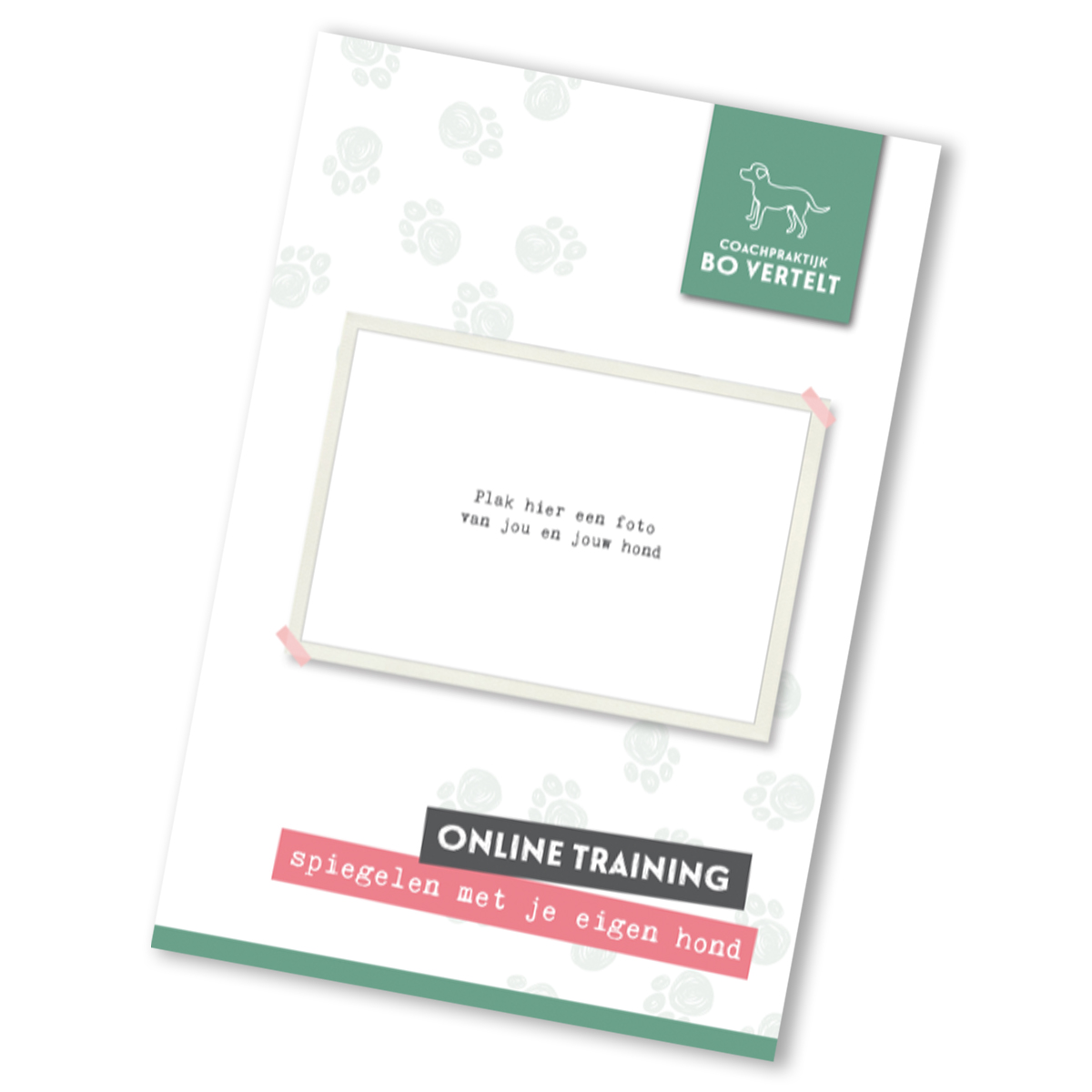 Werkboek online training – Bo Vertelt