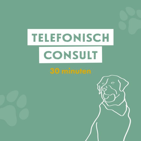 Telefonisch Consult